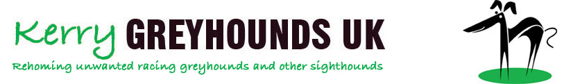 Kerry Greyhound Connection