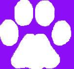 paw print